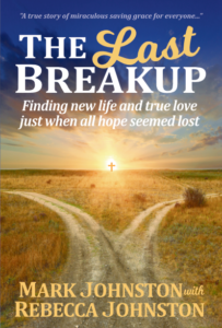 The Last Breakup book cover